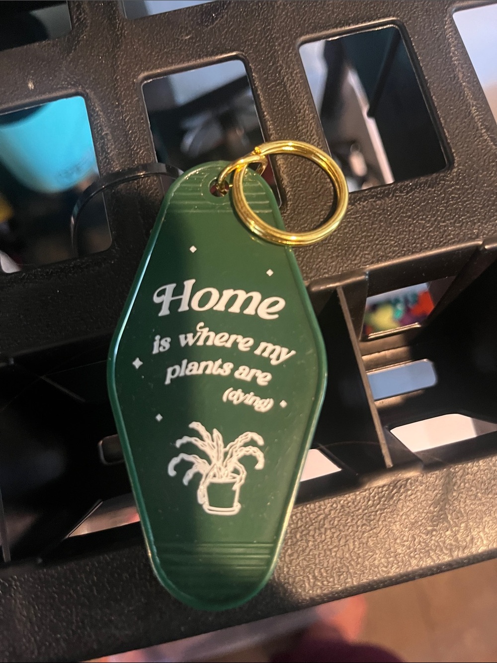 Key holder plant